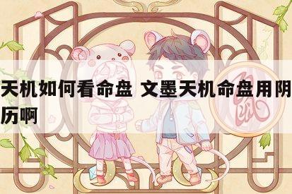 文墨天机如何看命盘 文墨天机命盘用阴历还是阳历啊