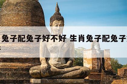 生肖兔子配兔子好不好 生肖兔子配兔子好不好呀