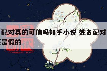 姓名配对真的可信吗知乎小说 姓名配对是真的还是假的