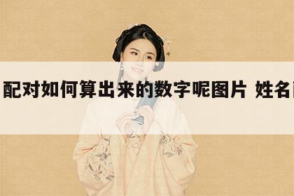 姓名配对如何算出来的数字呢图片 姓名配对比