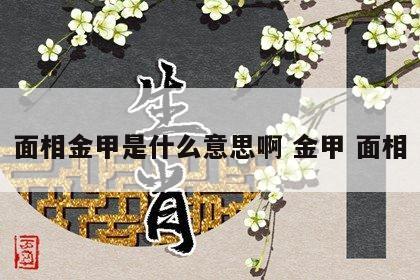 面相金甲是什么意思啊 金甲 面相