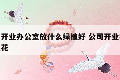 公司开业办公室放什么绿植好 公司开业摆放什么花