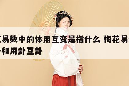 梅花易数中的体用互变是指什么 梅花易数的体卦和用卦互卦
