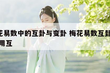 梅花易数中的互卦与变卦 梅花易数互卦 体互 用互