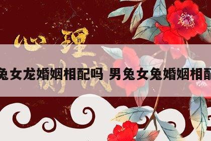 男兔女龙婚姻相配吗 男兔女兔婚姻相配吗