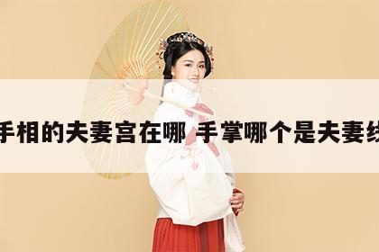 手相的夫妻宫在哪 手掌哪个是夫妻线