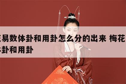 梅花易数体卦和用卦怎么分的出来 梅花易数中体卦和用卦