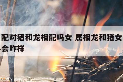 生肖配对猪和龙相配吗女 属相龙和猪女生在一起会咋样