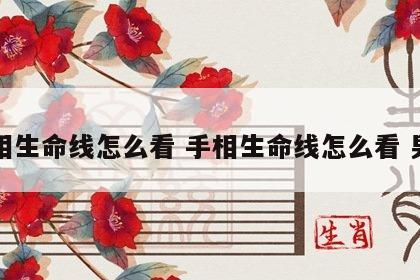 手相生命线怎么看 手相生命线怎么看 男士