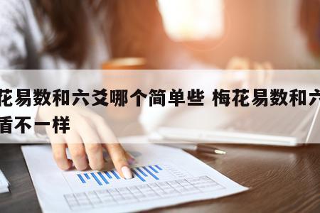 梅花易数和六爻哪个简单些 梅花易数和六爻矛盾不一样
