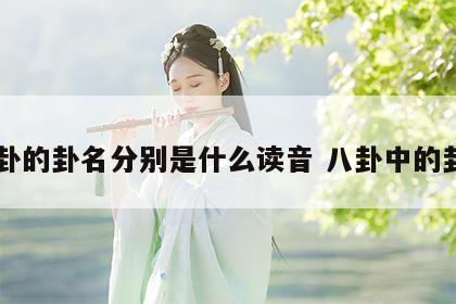 八卦的卦名分别是什么读音 八卦中的卦名