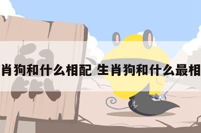 生肖狗和什么相配 生肖狗和什么最相配