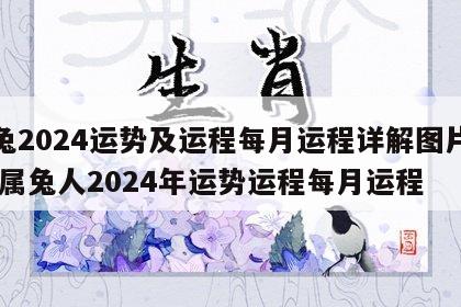 属兔2024运势及运程每月运程详解图片大全 属兔人2024年运势运程每月运程