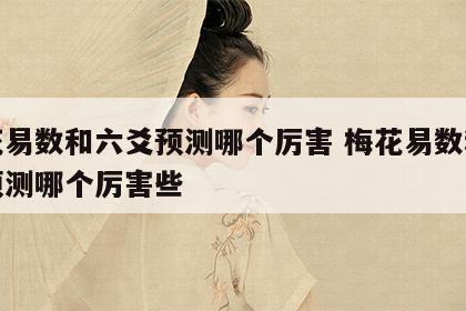 梅花易数和六爻预测哪个厉害 梅花易数和六爻预测哪个厉害些