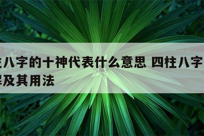 四柱八字的十神代表什么意思 四柱八字十神详解及其用法