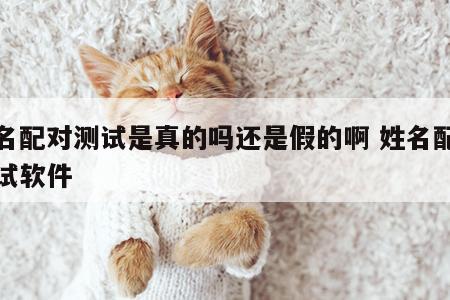 姓名配对测试是真的吗还是假的啊 姓名配对测试软件