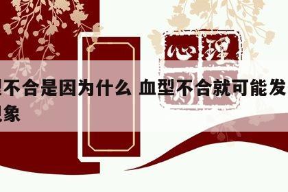 血型不合是因为什么 血型不合就可能发生什么现象