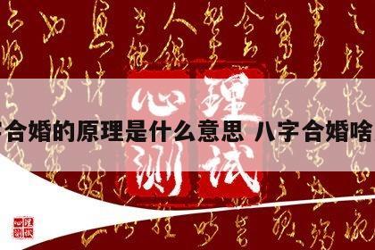 八字合婚的原理是什么意思 八字合婚啥意思