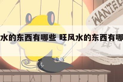 旺风水的东西有哪些 旺风水的东西有哪些图片