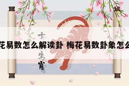 梅花易数怎么解读卦 梅花易数卦象怎么看