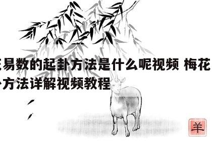 梅花易数的起卦方法是什么呢视频 梅花易数起卦方法详解视频教程