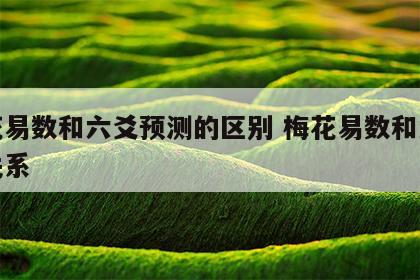 梅花易数和六爻预测的区别 梅花易数和六爻的关系