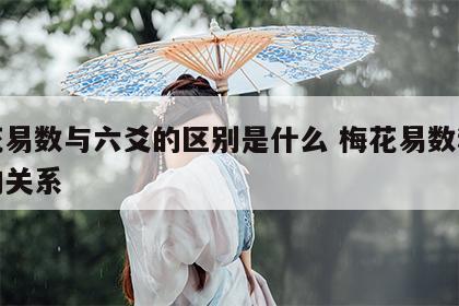 梅花易数与六爻的区别是什么 梅花易数和六爻的关系