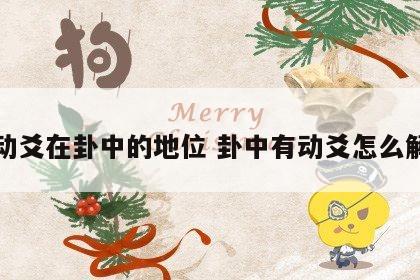 动爻在卦中的地位 卦中有动爻怎么解