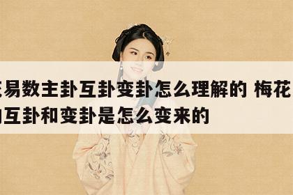 梅花易数主卦互卦变卦怎么理解的 梅花易数里的互卦和变卦是怎么变来的