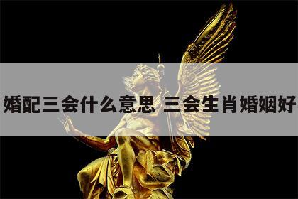 生肖婚配三会什么意思 三会生肖婚姻好不好
