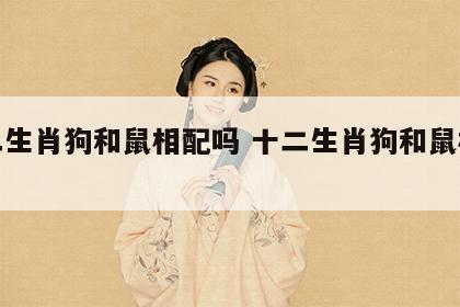 十二生肖狗和鼠相配吗 十二生肖狗和鼠相配吗