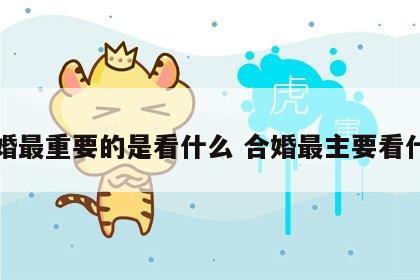 合婚最重要的是看什么 合婚最主要看什么