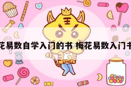 梅花易数自学入门的书 梅花易数入门书籍