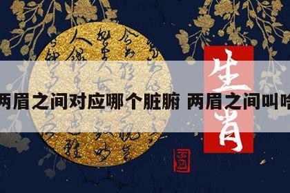 两眉之间对应哪个脏腑 两眉之间叫啥