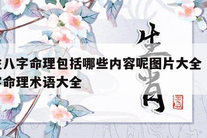 四柱八字命理包括哪些内容呢图片大全 四柱八字命理术语大全