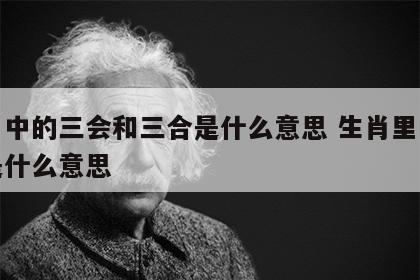 生肖中的三会和三合是什么意思 生肖里的三会是什么意思
