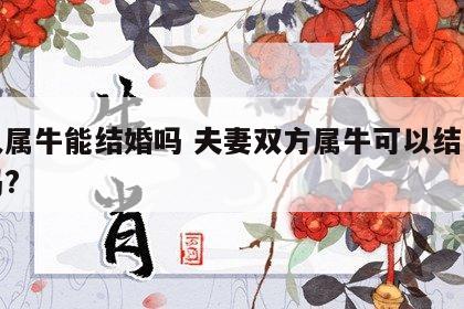两人属牛能结婚吗 夫妻双方属牛可以结为夫妻吗?