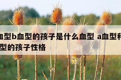 a血型b血型的孩子是什么血型 a血型和b血型的孩子性格