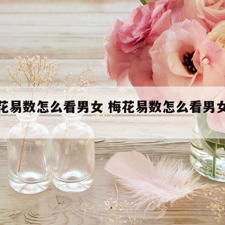 梅花易数怎么看男女 梅花易数怎么看男女关系