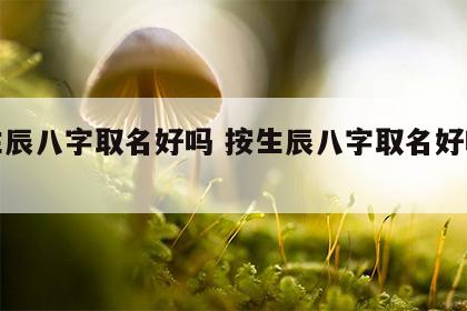 按生辰八字取名好吗 按生辰八字取名好吗女孩