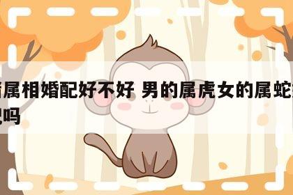 虎猪属相婚配好不好 男的属虎女的属蛇婚姻相配吗