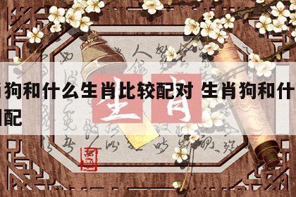 生肖狗和什么生肖比较配对 生肖狗和什么生肖相配