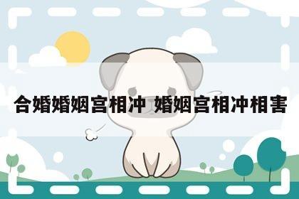 合婚婚姻宫相冲 婚姻宫相冲相害