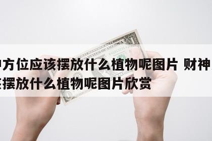 财神方位应该摆放什么植物呢图片 财神方位应该摆放什么植物呢图片欣赏