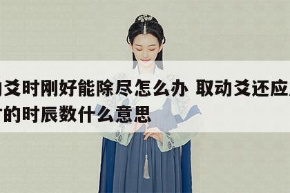 取动爻时刚好能除尽怎么办 取动爻还应加上当时的时辰数什么意思