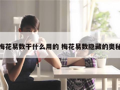梅花易数干什么用的 梅花易数隐藏的奥秘