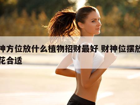 财神方位放什么植物招财最好 财神位摆放什么花合适