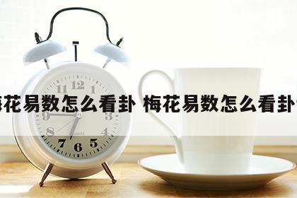 梅花易数怎么看卦 梅花易数怎么看卦词