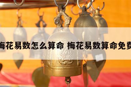梅花易数怎么算命 梅花易数算命免费
