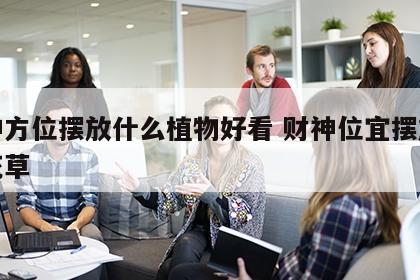 财神方位摆放什么植物好看 财神位宜摆放什么花草